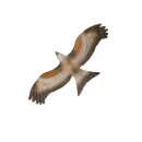 LONGLIFE Red Kite