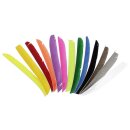 !!BESTSELLER!! BSW Feather Single-Color - Right Wing -...