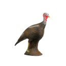 LONGLIFE Turkey Hen