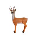 LONGLIFE Sensing Roebuck