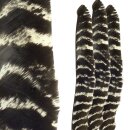 SPHERE Naturally Barred Turkey Feathers
