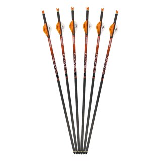 Crossbow bolt | RAVIN Carbon .003 - 20 inches - 6 Pieces