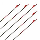 Complete Arrow | GOLDTIP Hunter - Carbon - 2 inches Vanes...