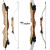 RAGIM Wildcat Plus Junior - 58 Zoll - 12-30 lbs - Take Down - Recurvebogen