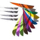 [Bestseller] BSW Black Horn - Premium Feather - geometric...