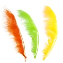 SPHERE Arrow Tracer / Feather Pointer - 12 Pieces