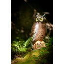 CENTER-POINT 3D Eagle Owl - Made in Germany