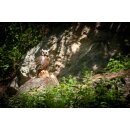CENTER-POINT 3D Eagle Owl - Made in Germany