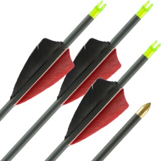 36-40 lbs | Carbon Arrow | LithoSPHERE Black - with Feathers | Spine 500 | 32 inches