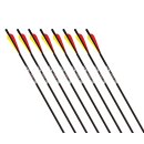 GOLDTIP Swift - Carbon bolt - Flatnock - 20 inches