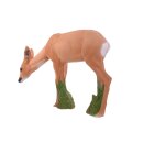 IBB 3D Doe - grazing