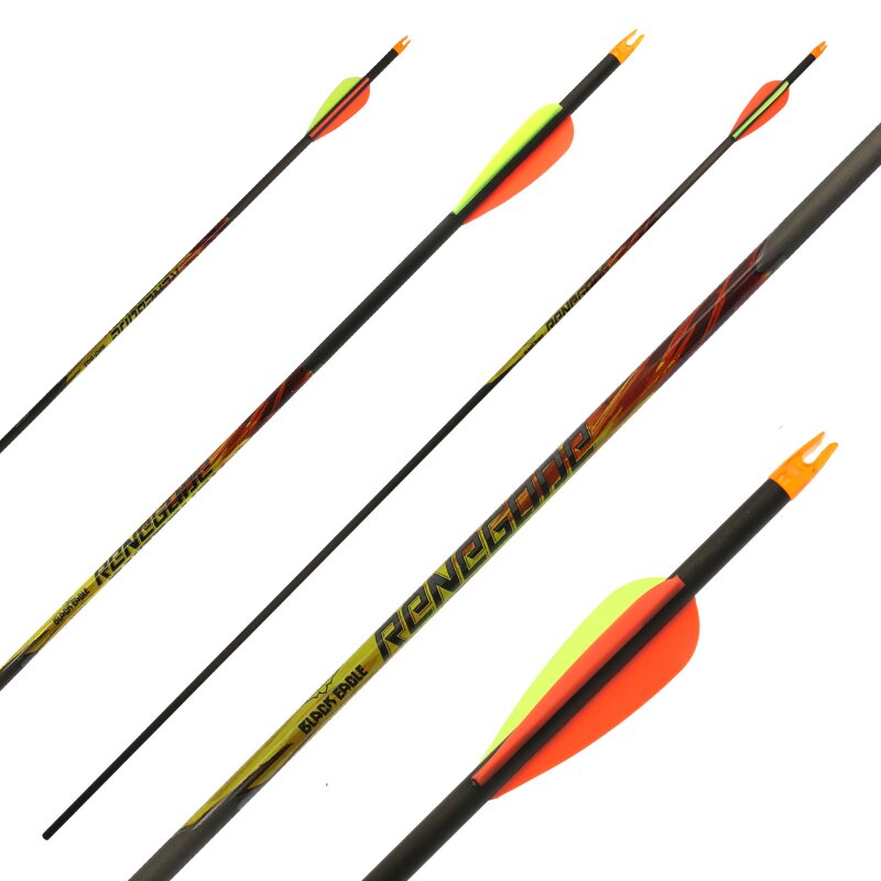 Complete Arrow BLACK EAGLE Renegade .005 Carbon O