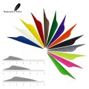 [Bestseller] SPHERE Spiked Style - Feather - Single-Color...