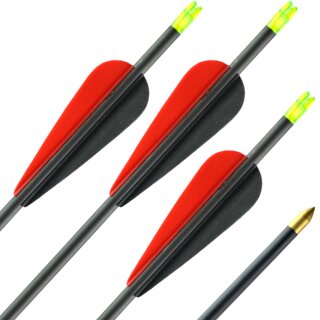 36-40 lbs | Carbon Arrow | LithoSPHERE Black - with Vanes | Spine 500 | 32 inches