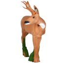 IBB 3D Roebuck - looking to the Right