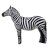 ASEN SPORTS Zebra [Forwarding Agent]