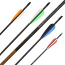 Carbonpfeil | MagnetoSPHERE - mit Vanes - nur 26-55 lbs