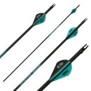 Complete arrow | SPHERE Hunter Pro - Carbon - Custom