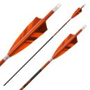 Complete arrow | PyroSPHERE - Carbon - Vanes - Custom