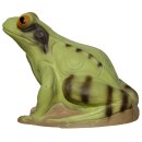 3Di Frog - var. Colours