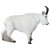 LEITOLD Mountain goat [Spedition]