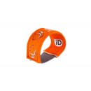 LITTLELIFE Safety iD - Wristband - various designs