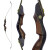 DRAKE ARCHERY ELITE Chameleon - 60 Zoll - 20-60 lbs - Recurvebogen