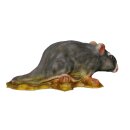 InForm 3D rat