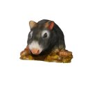 InForm 3D rat