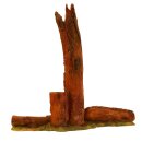 InForm 3D tree trunk [shipping agent]