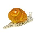 InForm 3D Snail