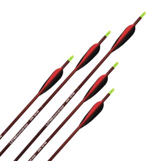up to 20 lbs | Carbon arrow | LithoSPHERE Traditional  - with Feathers | Spine 1300 | 20 inches