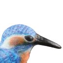 InForm 3D kingfisher