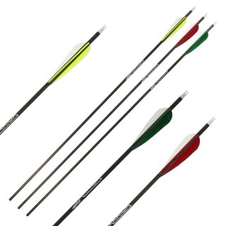 Komplettpfeil | GOLD TIP Warrior - Carbon - ab Werk befiedert - Spine 340 | 4 Zoll Parabol Naturfedern