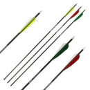 Komplettpfeil | GOLD TIP Warrior - Carbon - ab Werk...