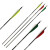 Komplettpfeil | GOLD TIP Warrior - Carbon - ab Werk befiedert - Spine 340 | 4 Zoll Parabol Naturfedern
