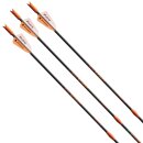 Crossbow bolt | VICTORY ARCHERY VooDoo - Carbon - 20 Inch...