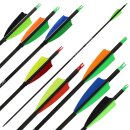 Carbon arrow | SPHERE Pioneer 6.2 - with Vanes - from 31 lbs