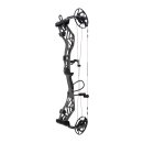 BEAR ARCHERY Persist - 45-70 lbs - Compound bow