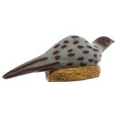 IBB 3D Pheasant hen sitting on nest