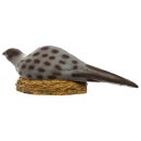 IBB 3D Pheasant hen sitting on nest