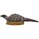 IBB 3D Pheasant hen sitting on nest