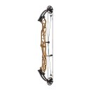 HOYT Concept X 40 - 40-70 lbs - Compoundbogen