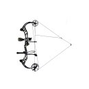 BEAR ARCHERY Prowess - RTH - 35-50 lbs - Compoundbogen