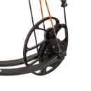 BEAR ARCHERY Royale RTH Extra - 5-50 lbs - Compoundbogen