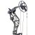 BEAR ARCHERY Persist 33 - 45-70 lbs - Compoundbogen