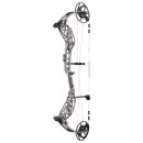 BEAR ARCHERY Whitetail INT - 45-70 lbs - Compoundbogen