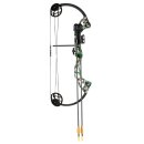 BEAR ARCHERY Warrior - 24-29 lbs - Compound bow