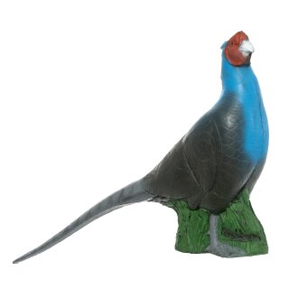 IBB 3D Blue Pheasant