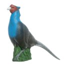 IBB 3D Blue Pheasant